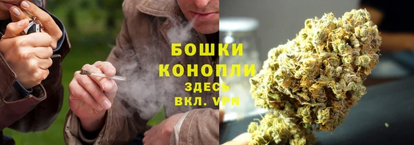 метамфетамин Белокуриха