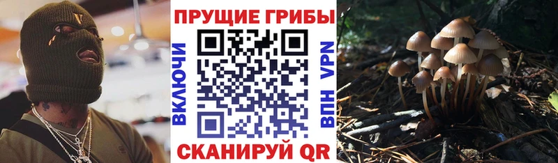 Галлюциногенные грибы Magic Shrooms  hydra   Пионерский 